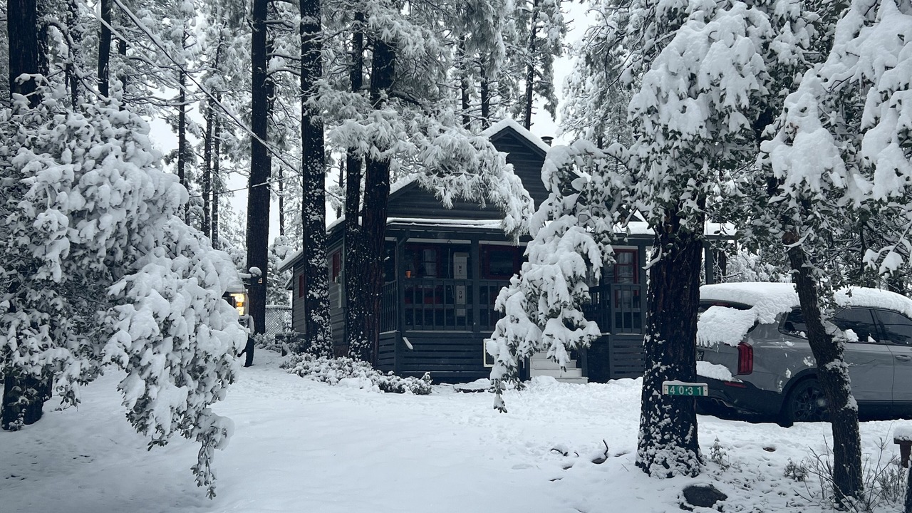 Photo of Outdoor in Pine