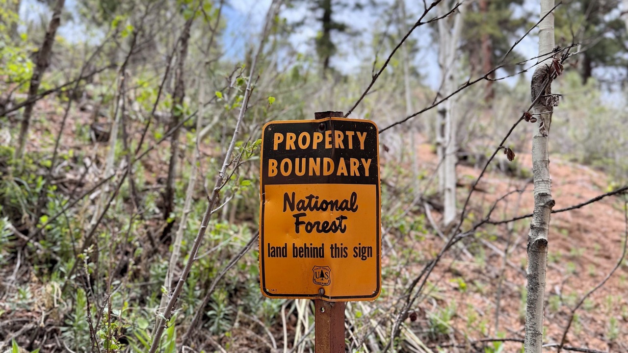 Photo of Outdoor in Woodland Park