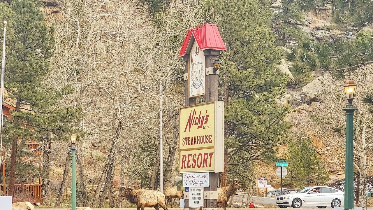 Photo of Others in Estes Park