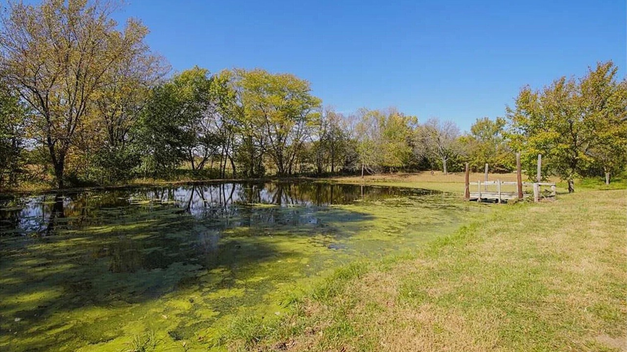 Photo of Others in Blue Springs