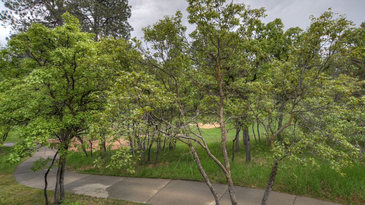 Photo of Outdoor in Purgatory
