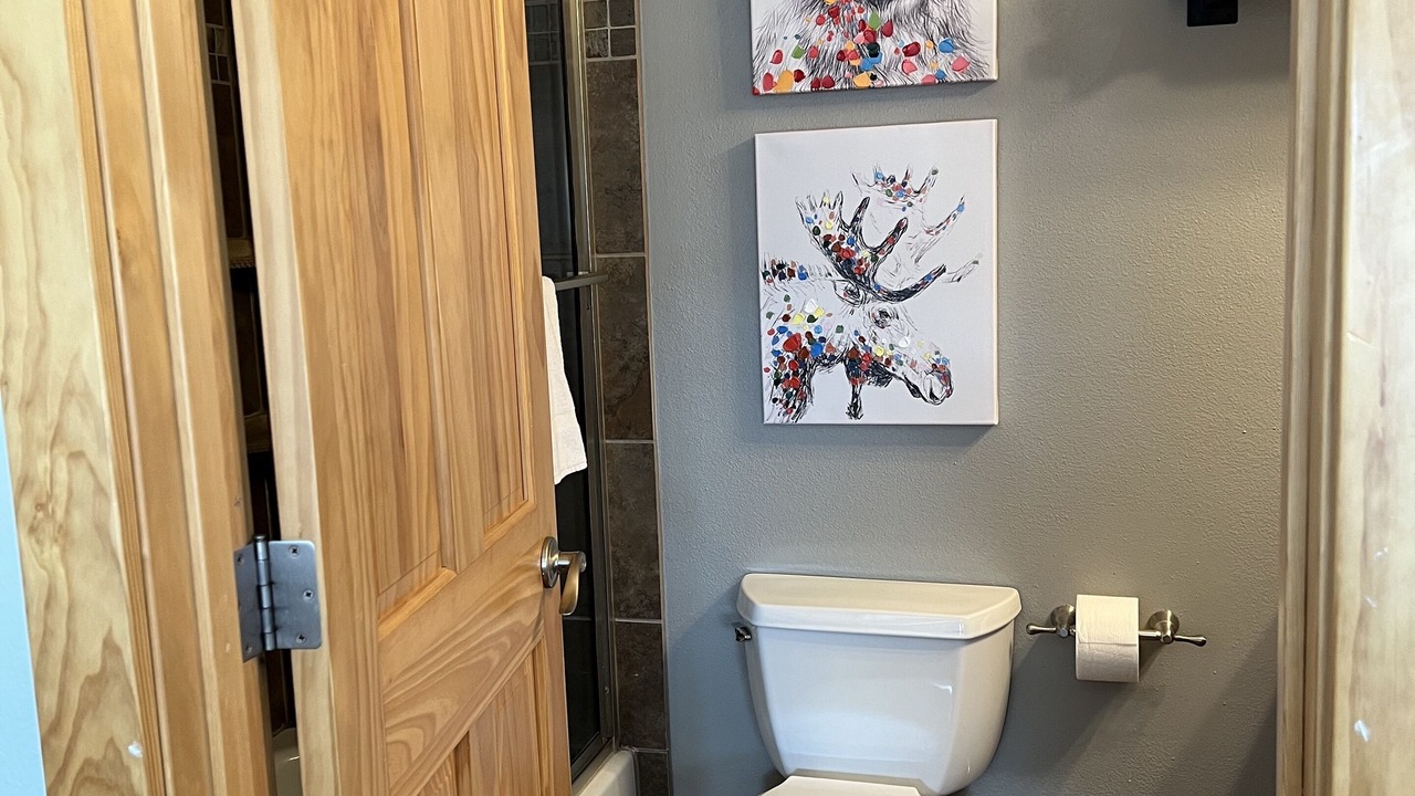 Photo of Bathroom in Peak 9