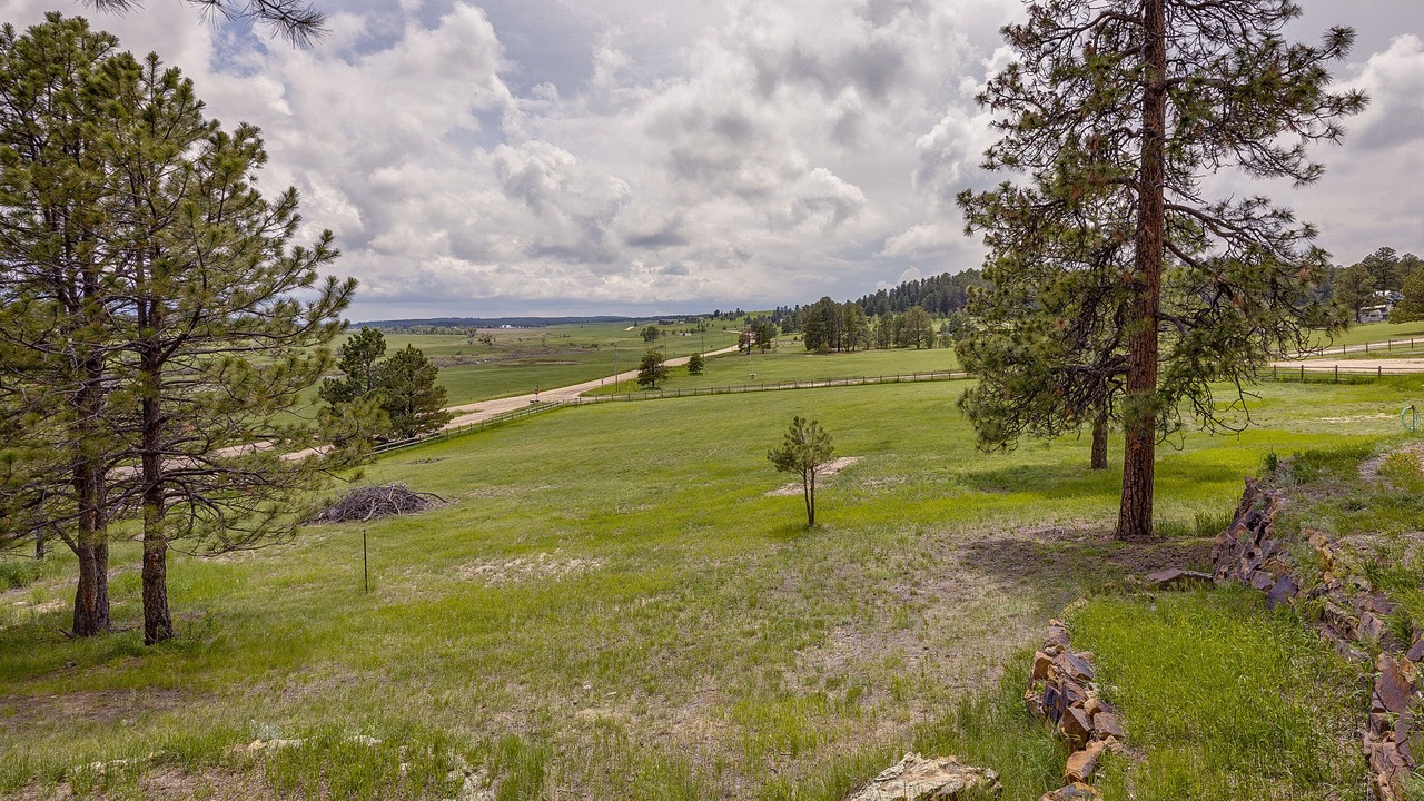 Photo of Others in Elbert