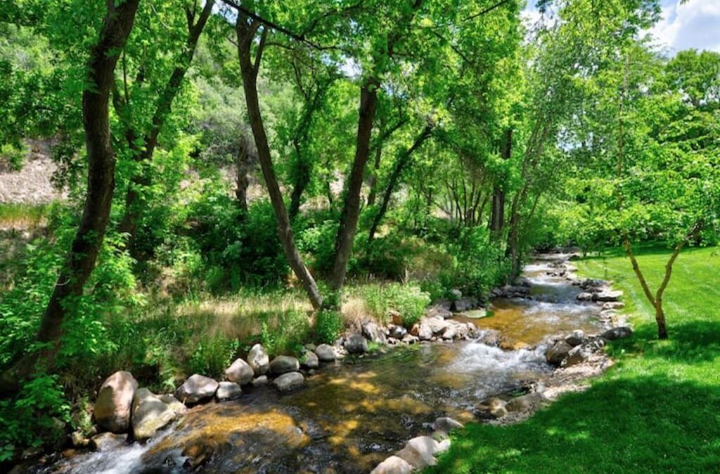 Photo of Others in Snowbird