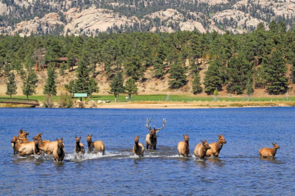 Photo of Others in Estes Park