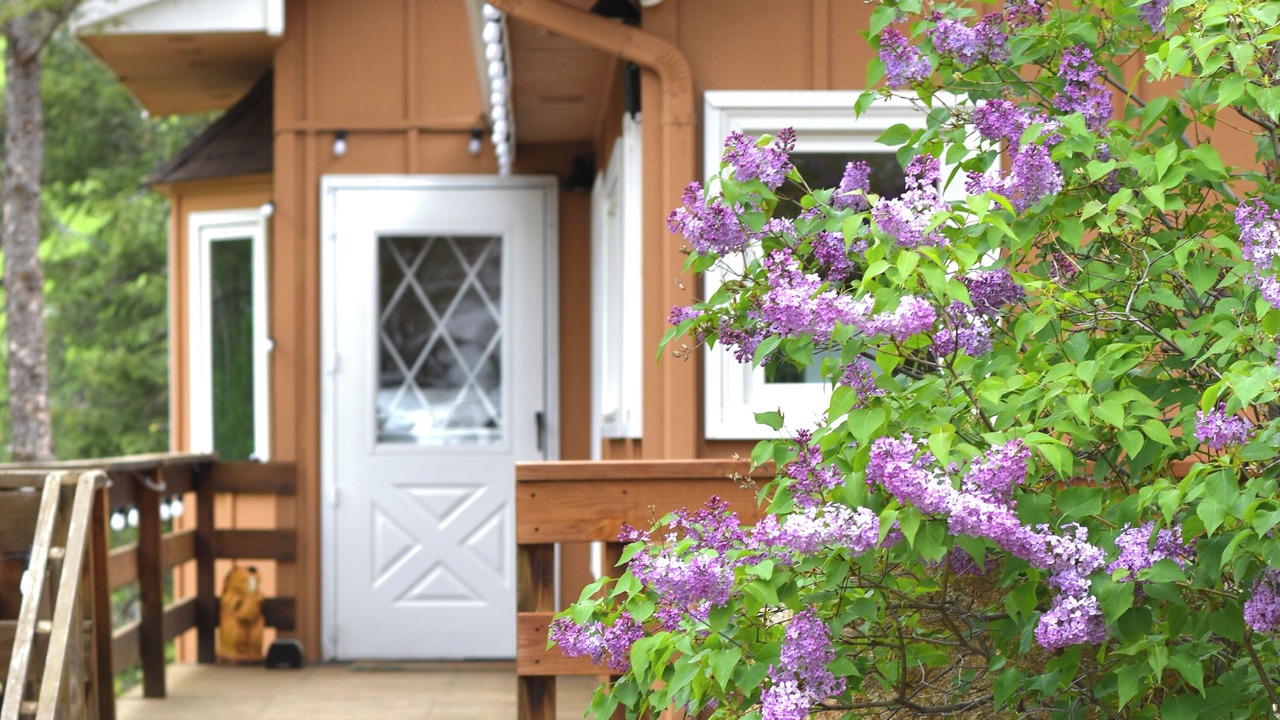 Photo of Outdoor in Lyons
