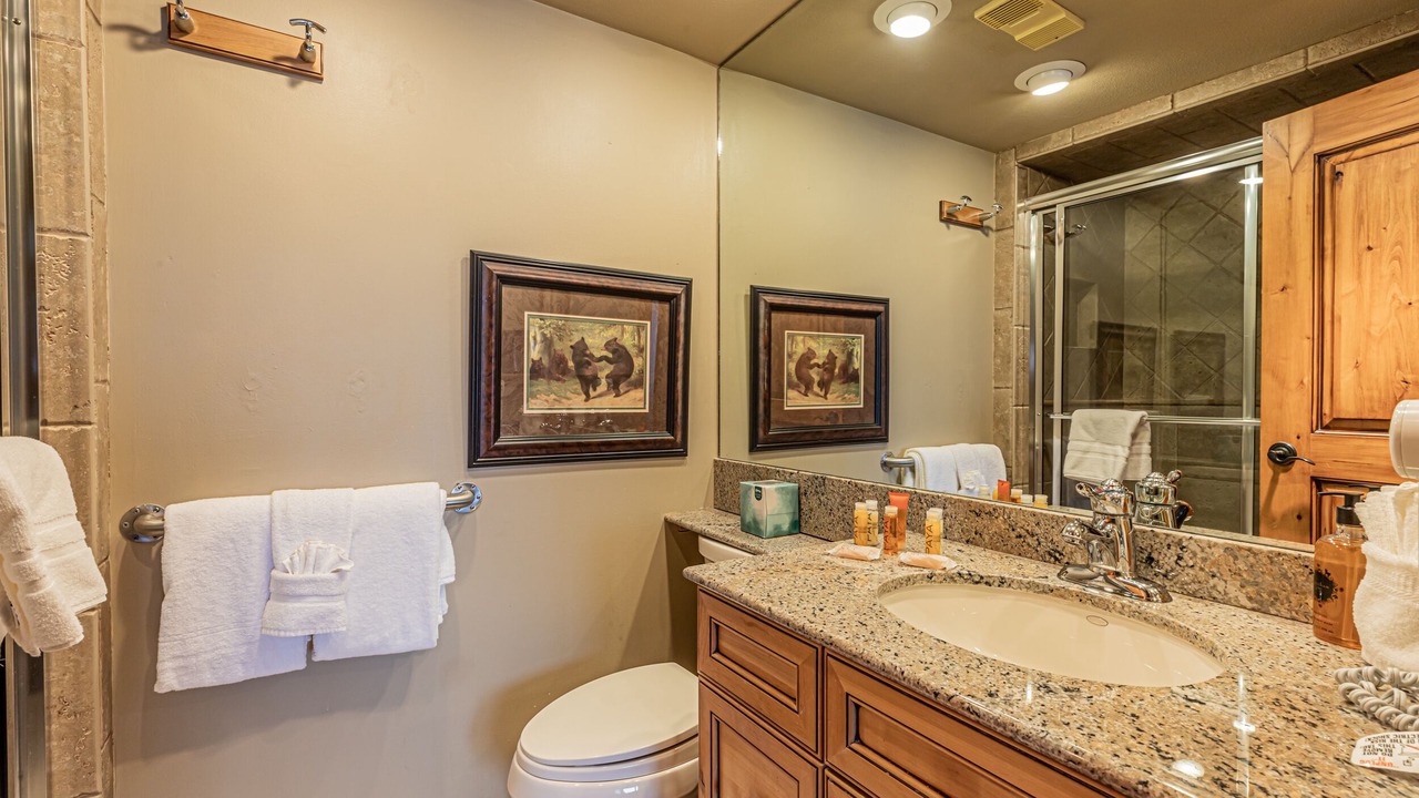 Photo of Bathroom in Steamboat Springs
