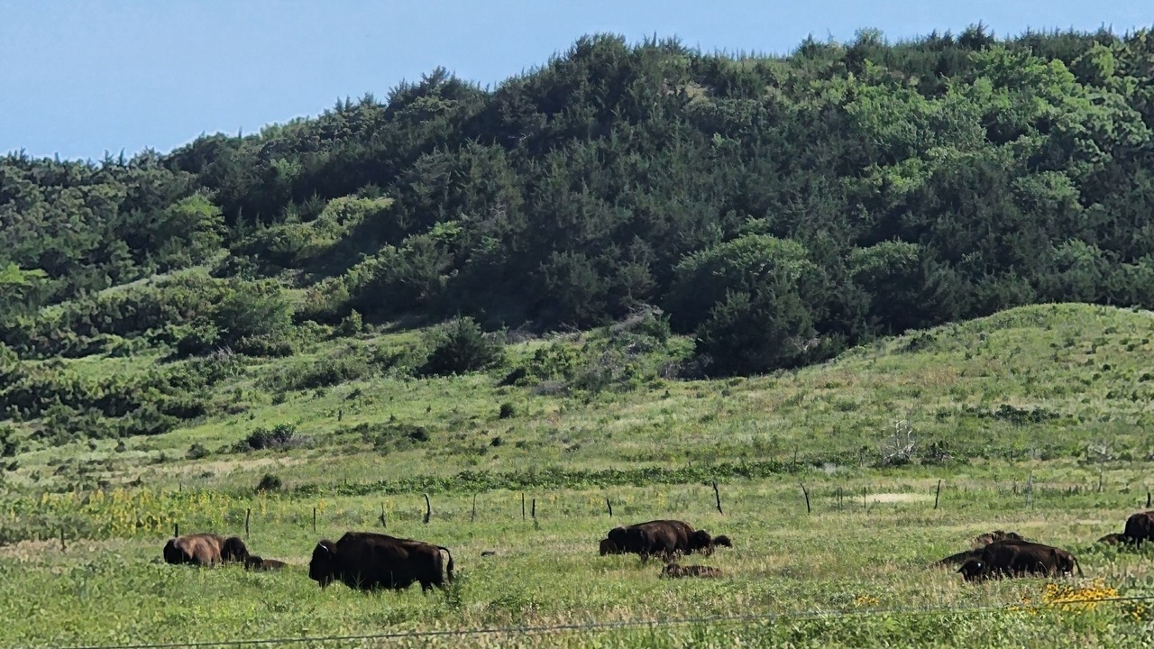 Photo of Others in Jewell County