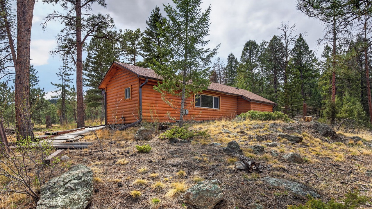 Photo of Outdoor in Pine