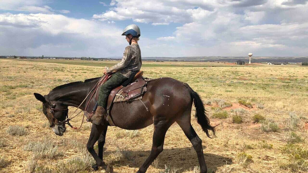Photo of Others in Durango