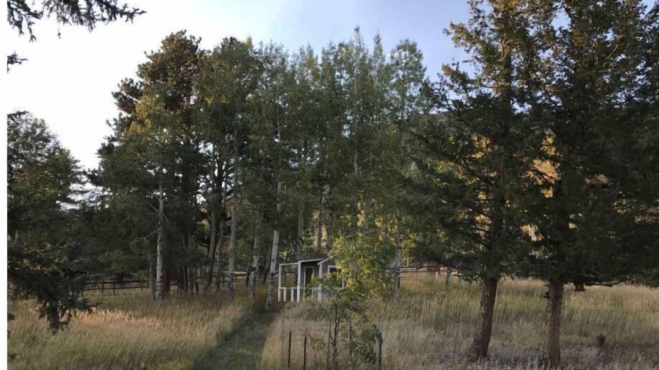 Photo of Others in Estes Park