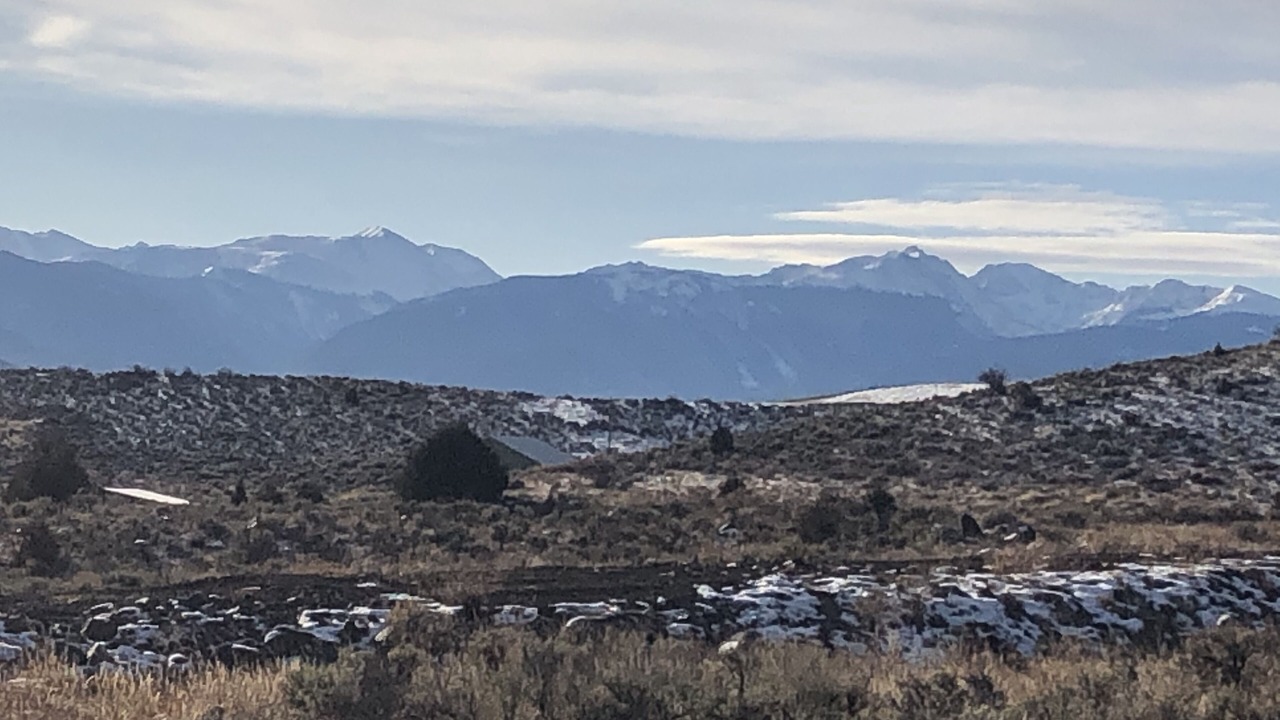 Photo of Others in Burns