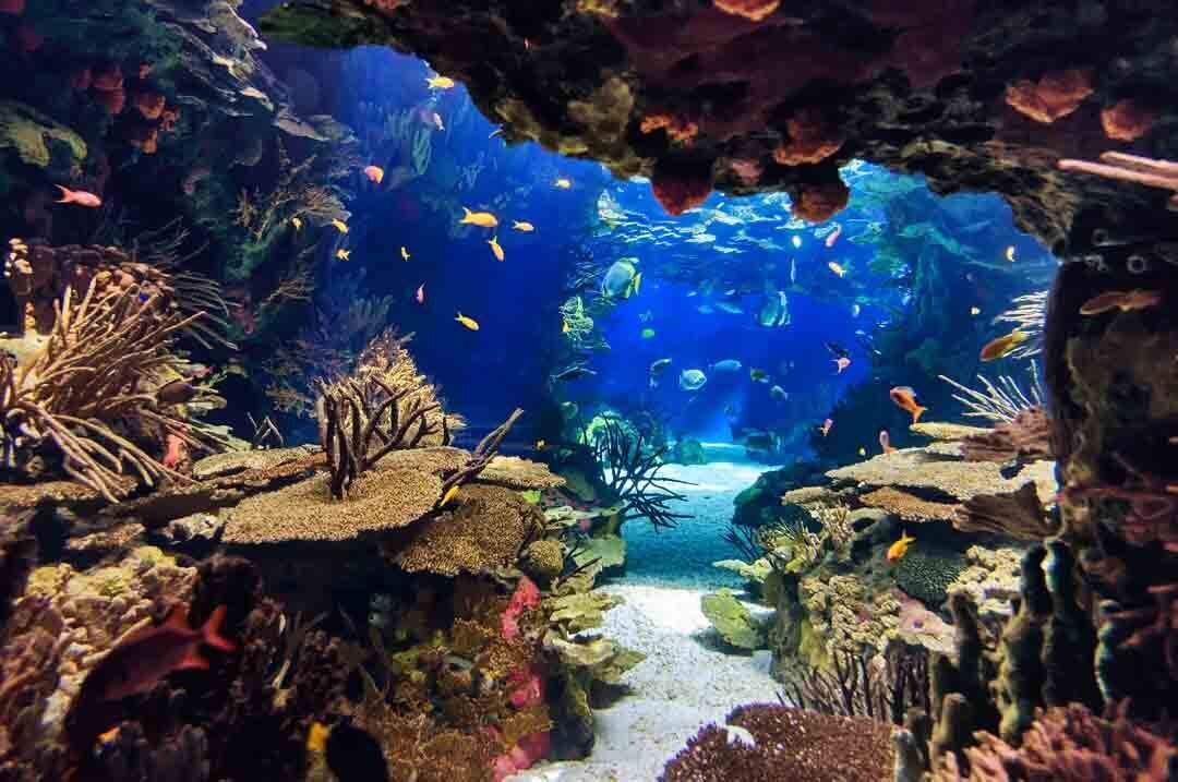 Photo of Others in West Omaha