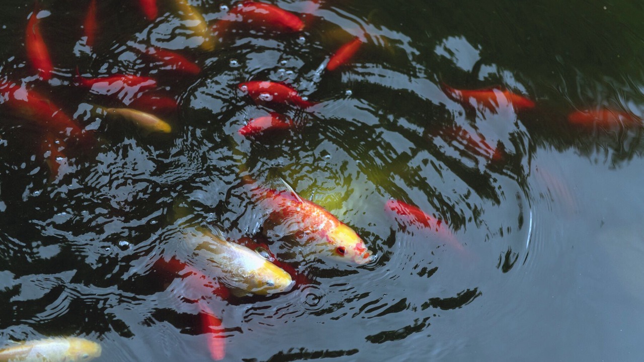 Photo of Others in Barths