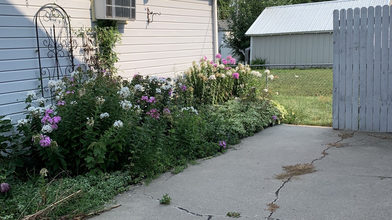 Photo of Outdoor in Norfolk