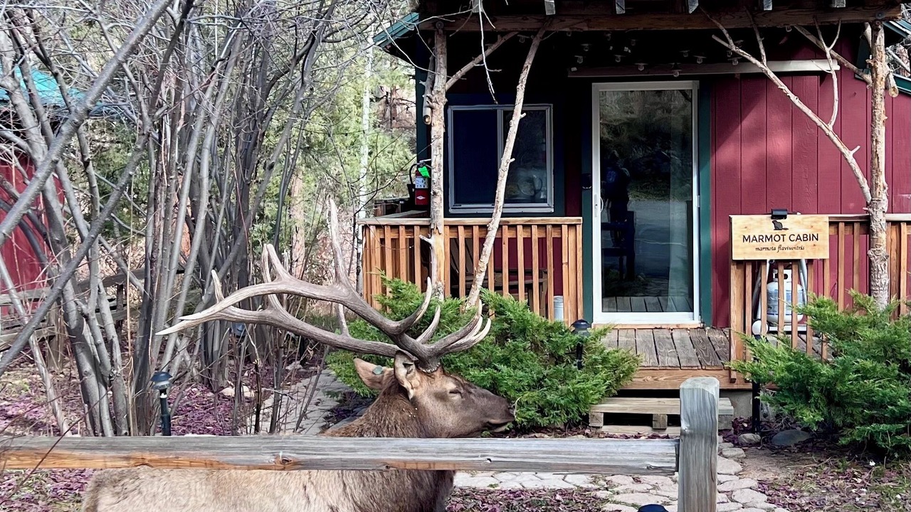 Photo of Outdoor in Drake
