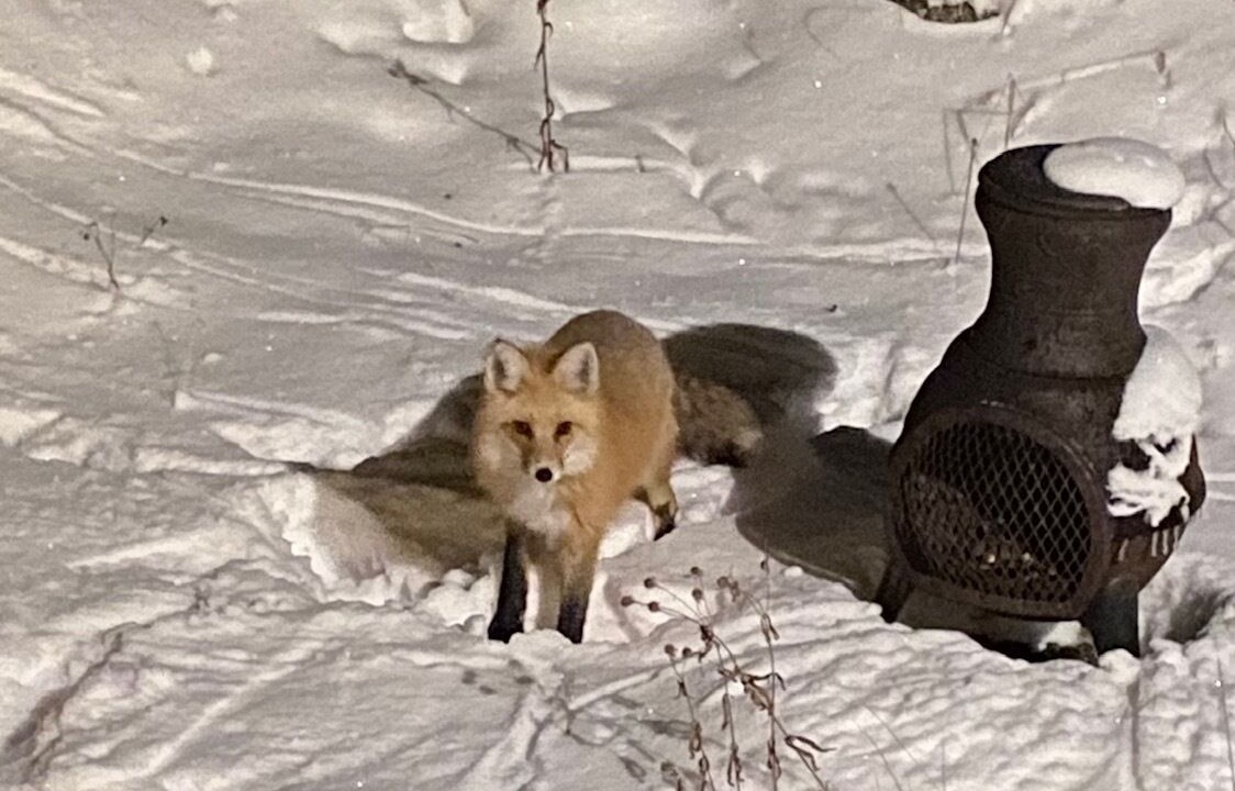Photo of Others in Blue River