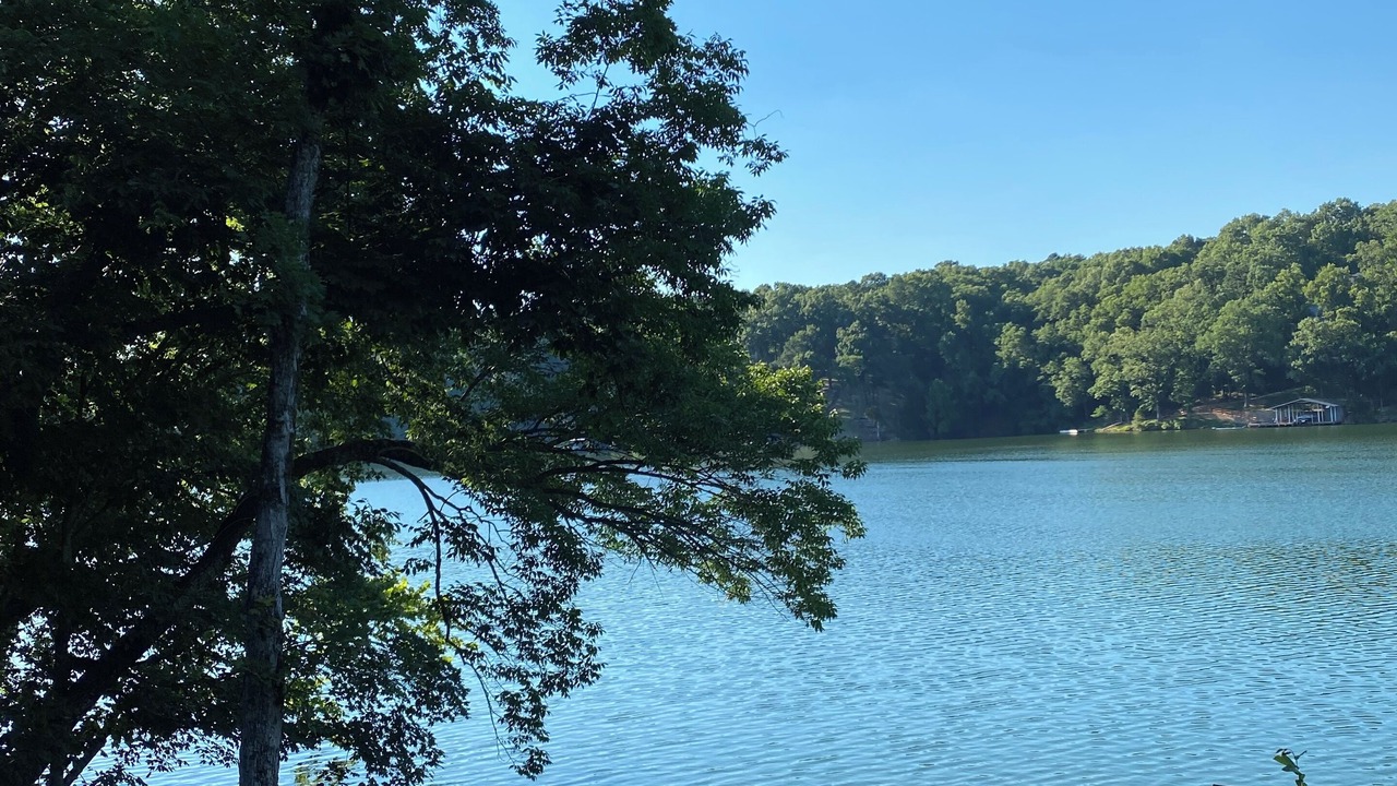 Photo of Outdoor in Bella Vista