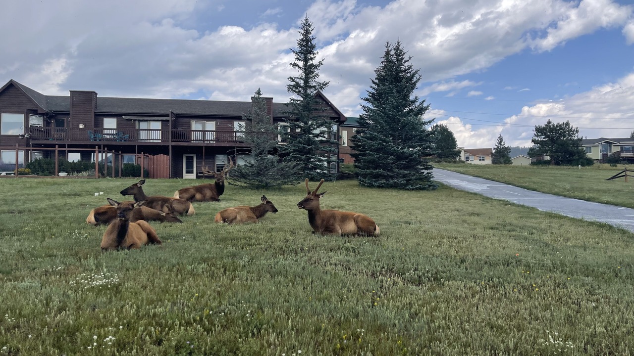 Photo of Others in Estes Park