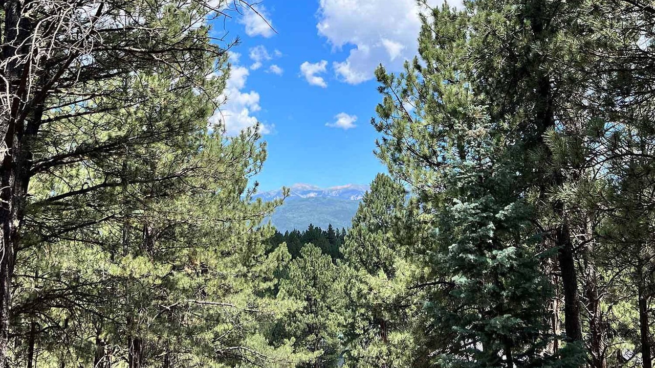 Photo of Others in Angel Fire
