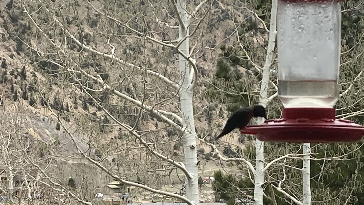Photo of Others in Idaho Springs