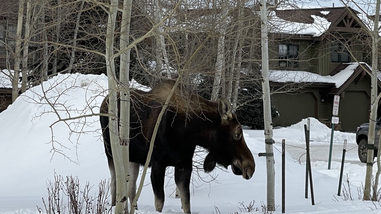 Photo of Others in The Highlands