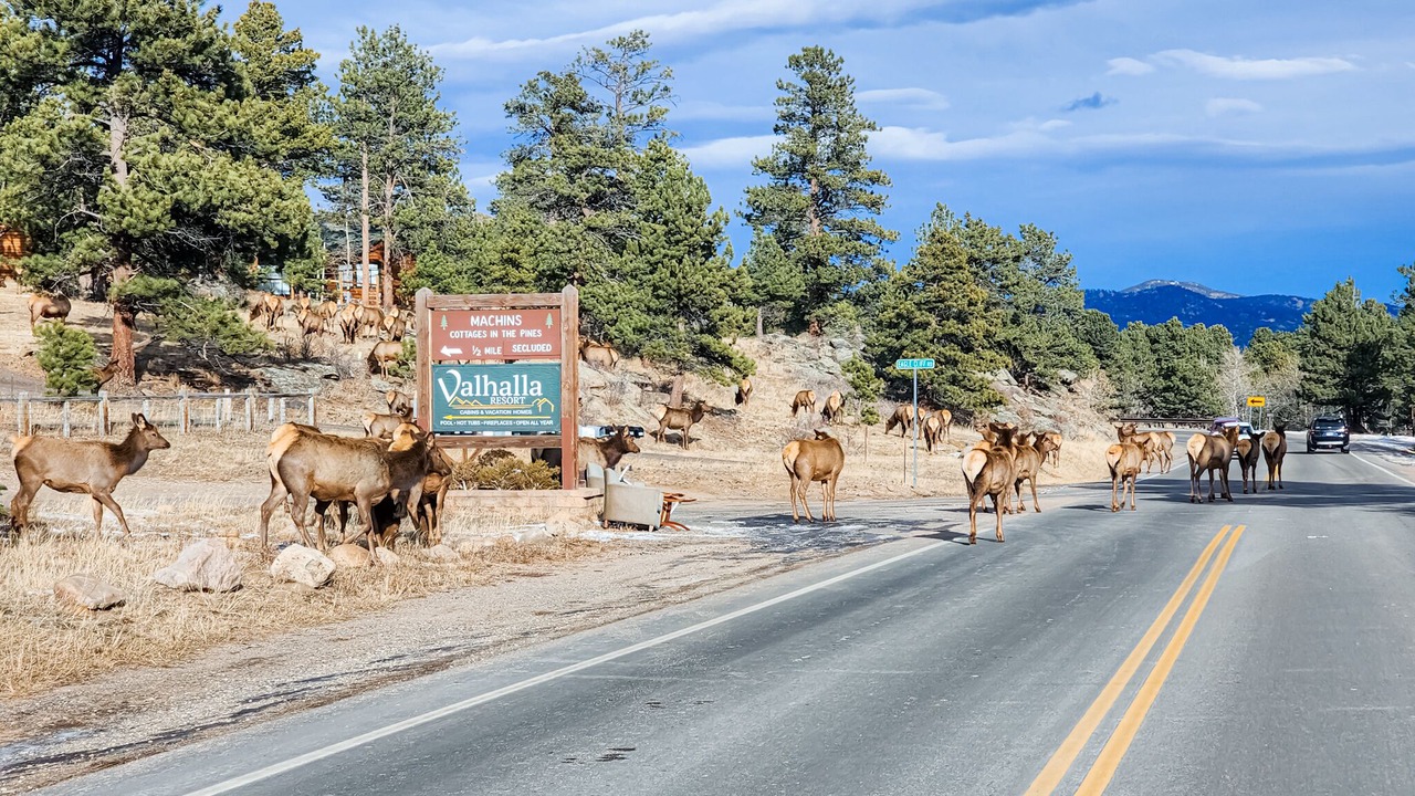 Photo of Others in Estes Park