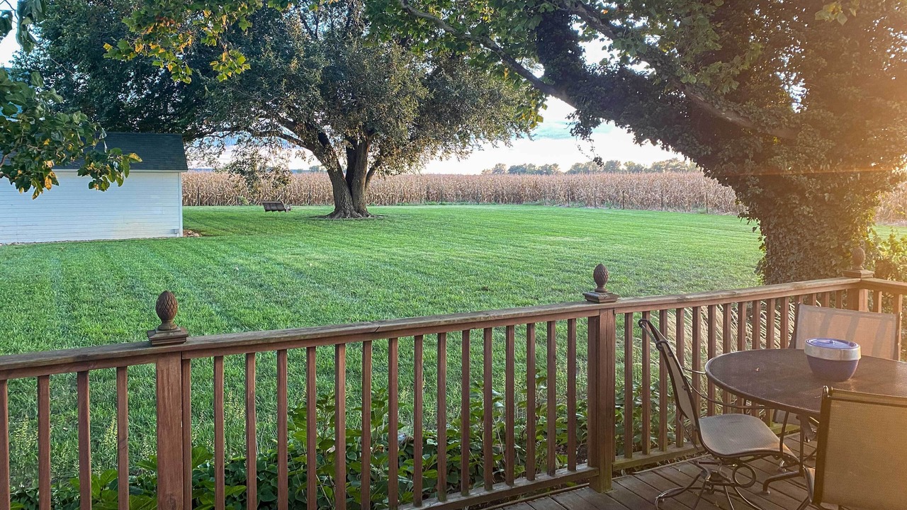 Photo of Outdoor in Pauline