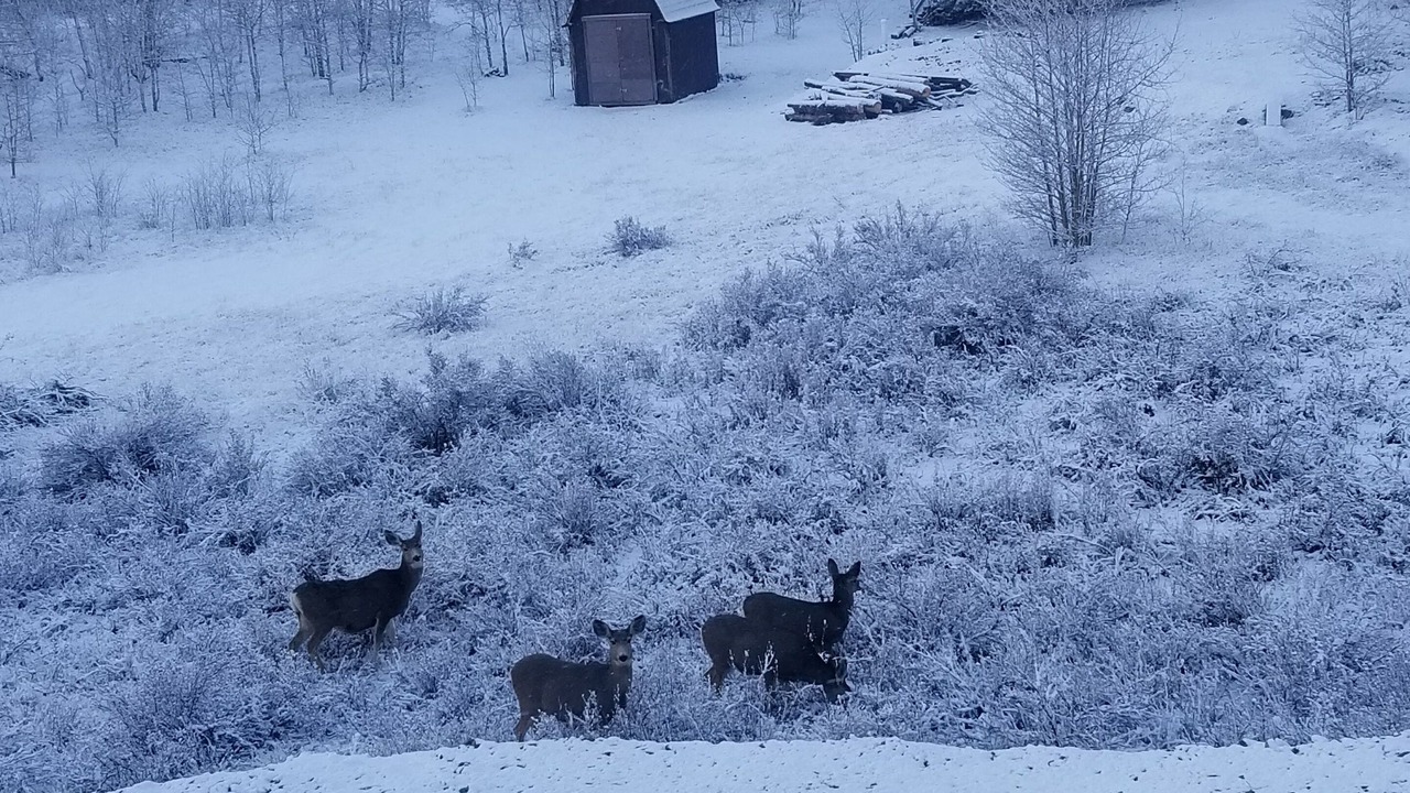 Photo of Outdoor in Indian Mountain