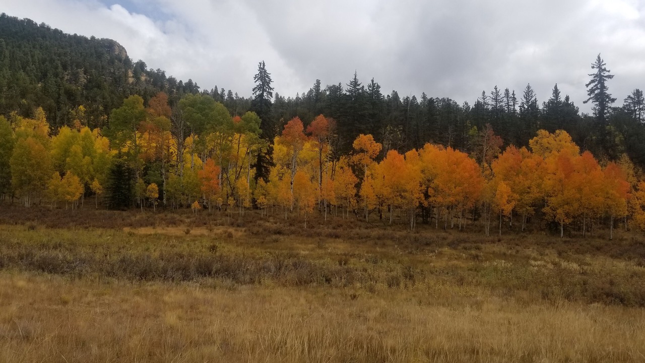 Photo of Outdoor in Indian Mountain