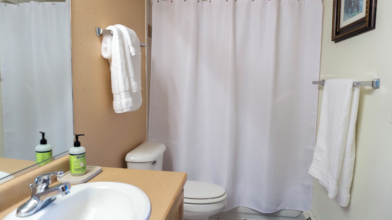 Photo of Bathroom in Steamboat Springs