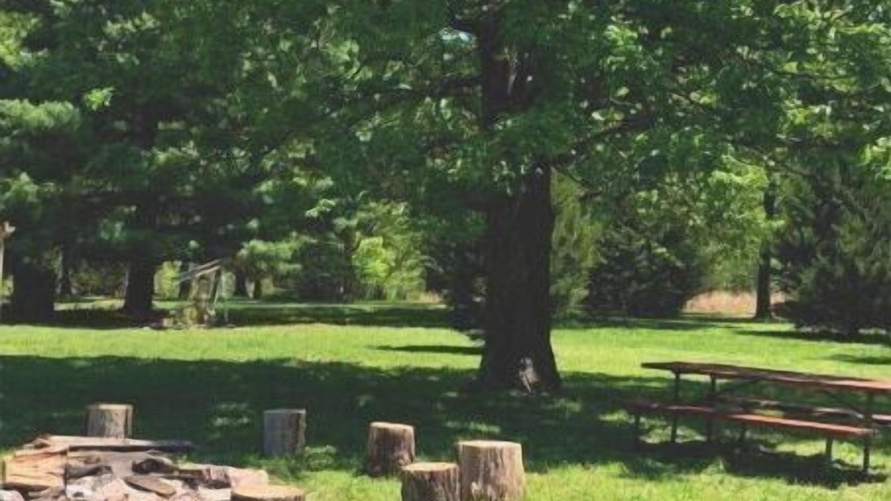 Photo of Others in Treece