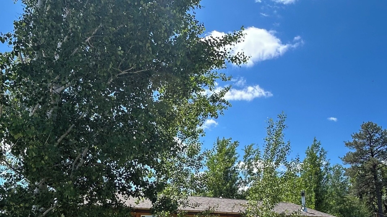 Photo of Outdoor in Dayton