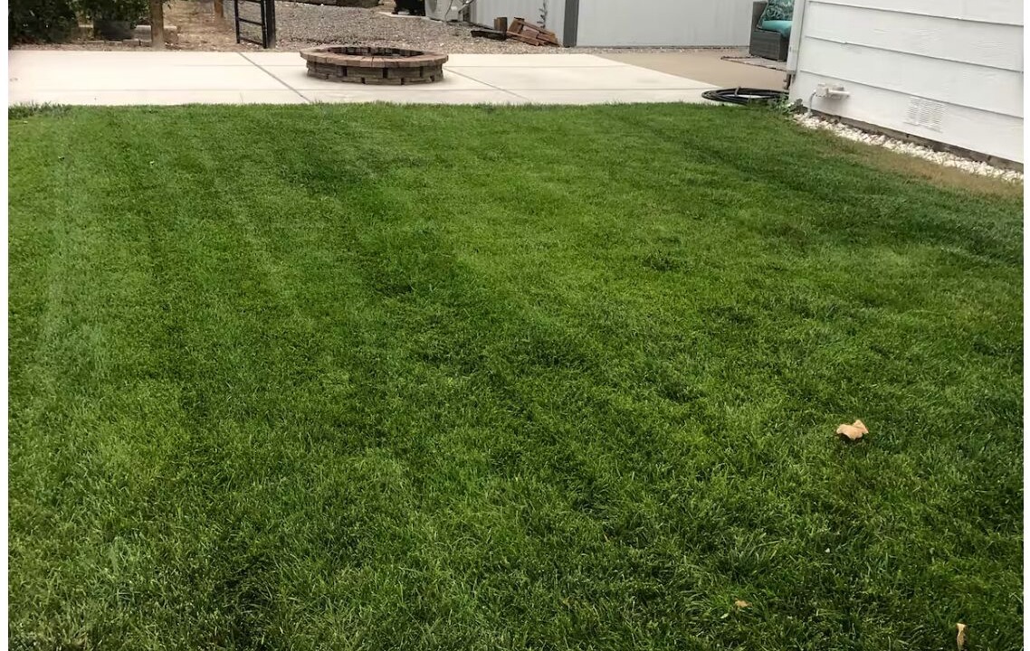 Photo of Outdoor in Palisade
