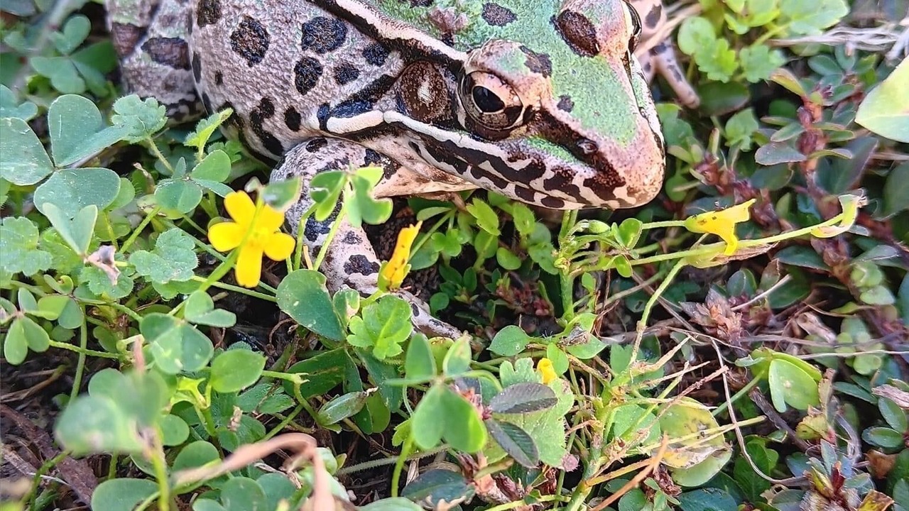 Photo of Outdoor in New Eucha