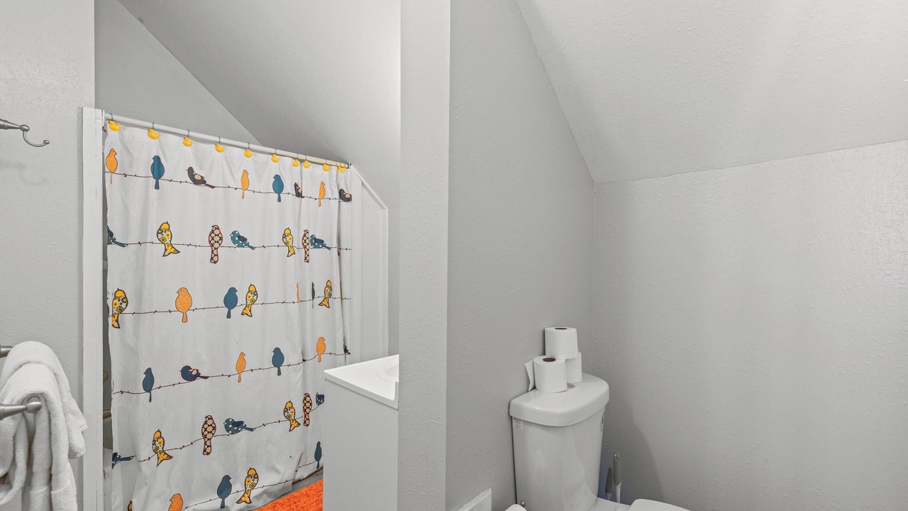 Photo of Bathroom in Leadville North