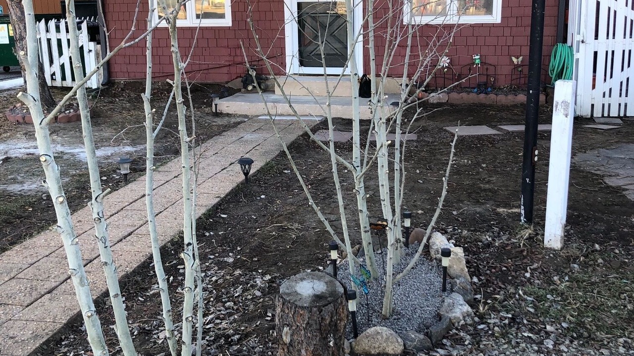 Photo of Others in Estes Park
