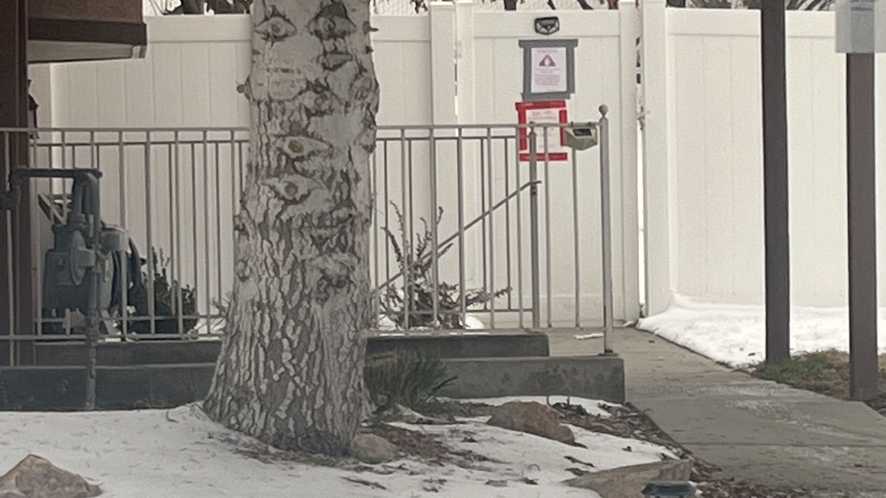 Photo of Outdoor in Draper
