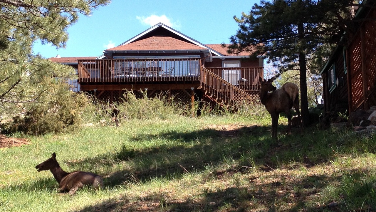 Photo of Others in Estes Park