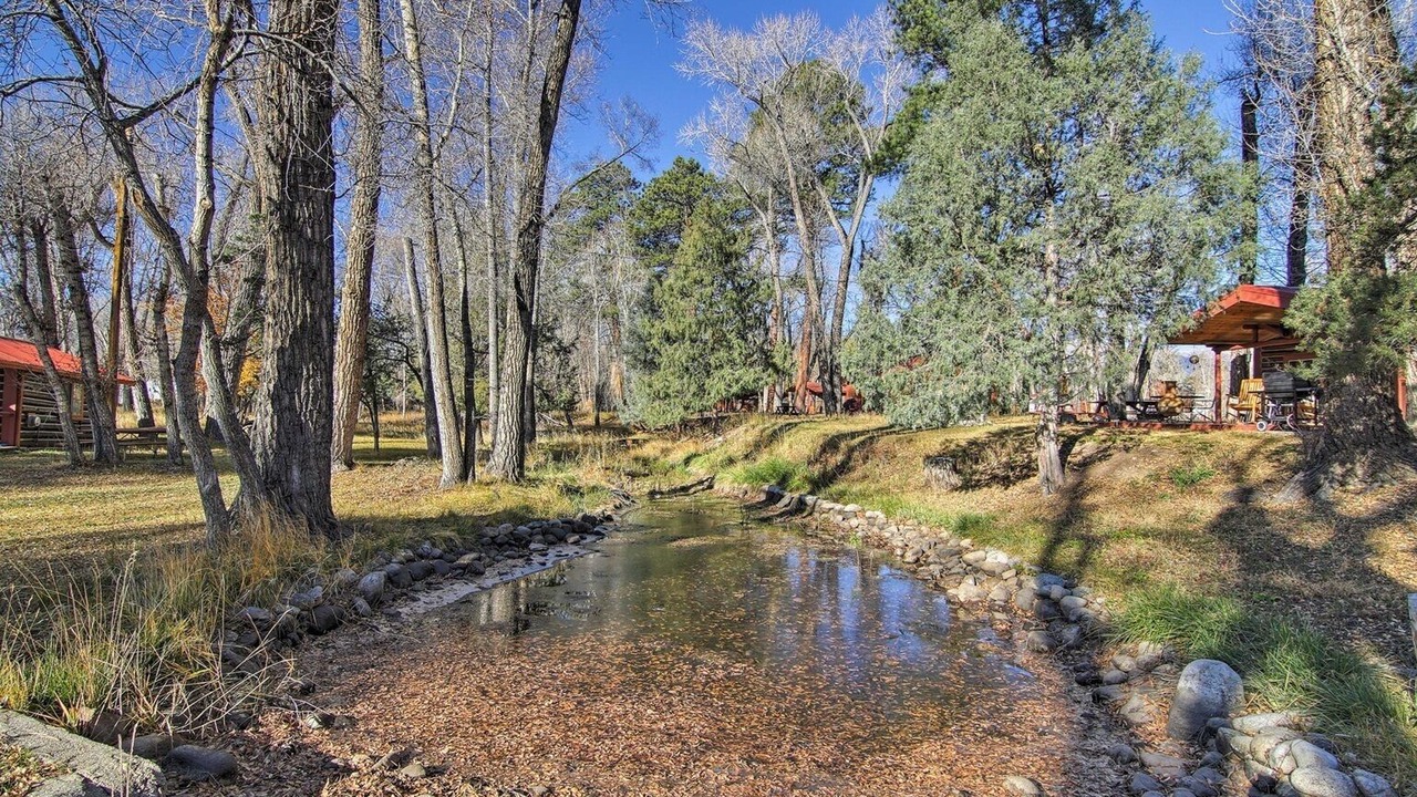 Photo of Others in Buena Vista