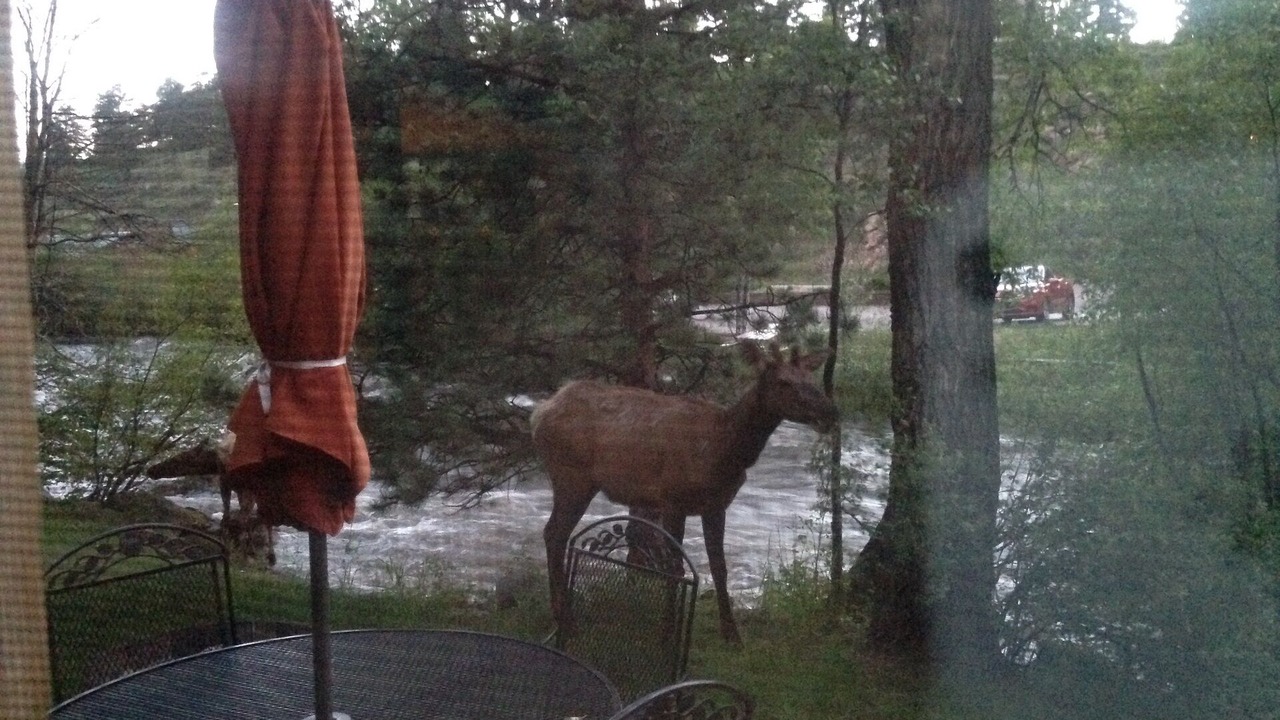 Photo of Others in Estes Park