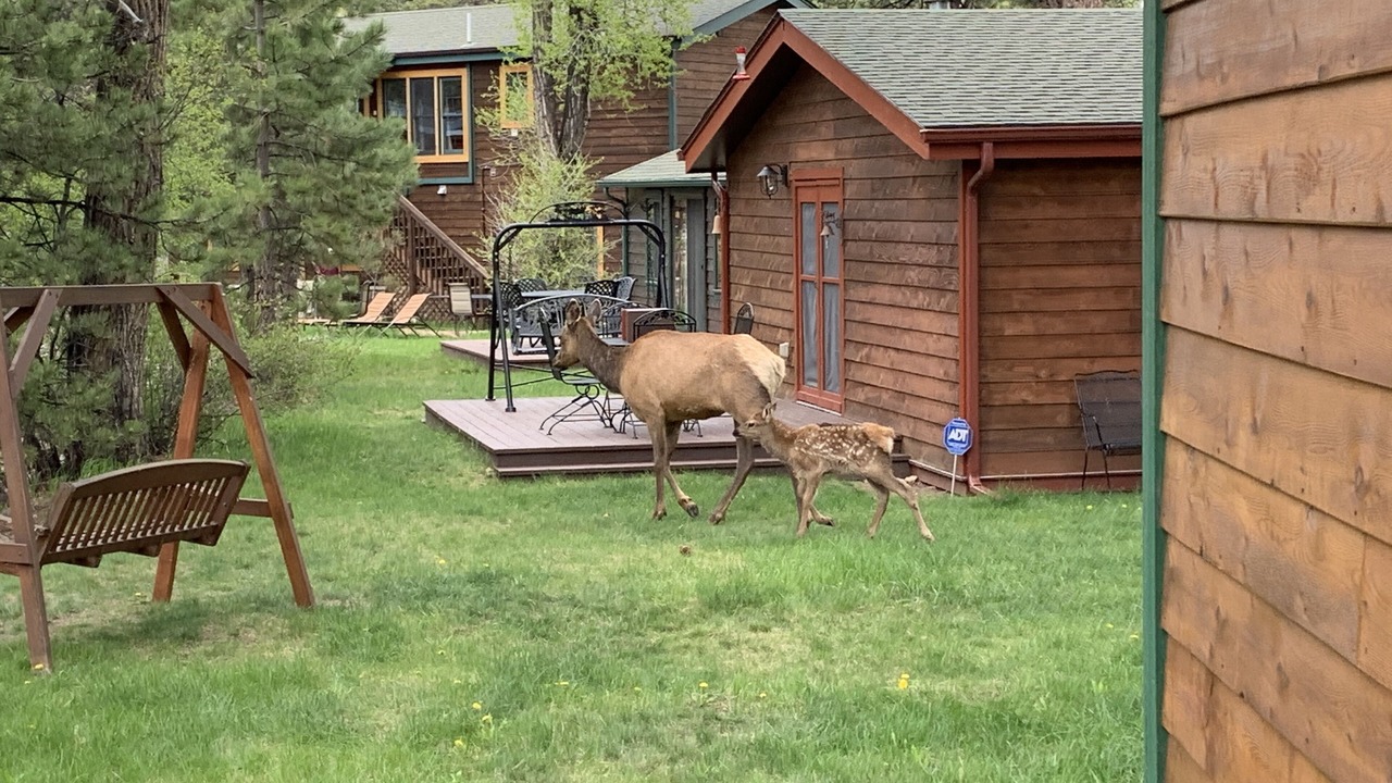 Photo of Others in Estes Park