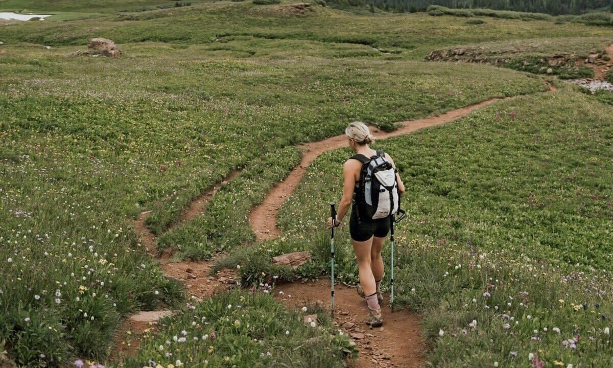 Photo of Others in The Highlands