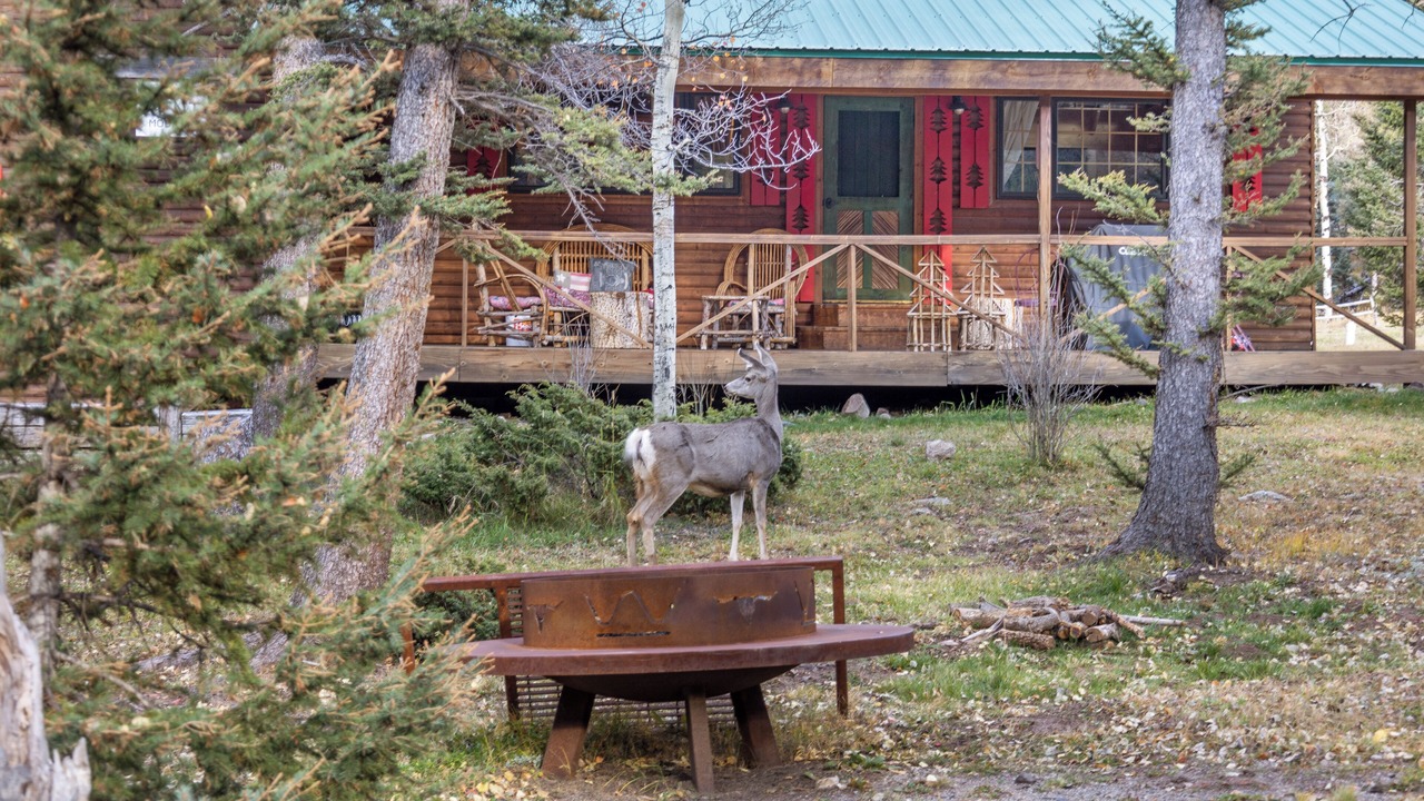 Photo of Outdoor in Red River