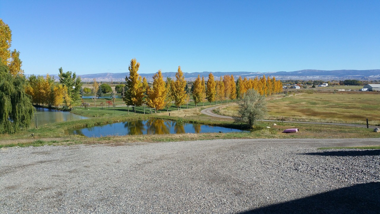Photo of Outdoor in Montrose