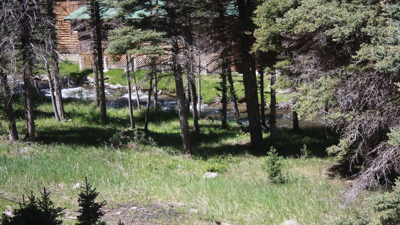 Photo of Others in Red River
