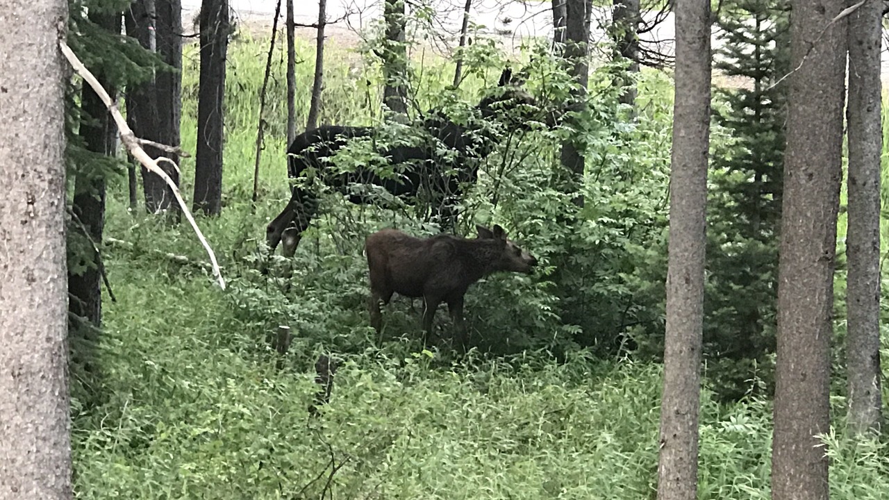 Photo of Outdoor in Island Park