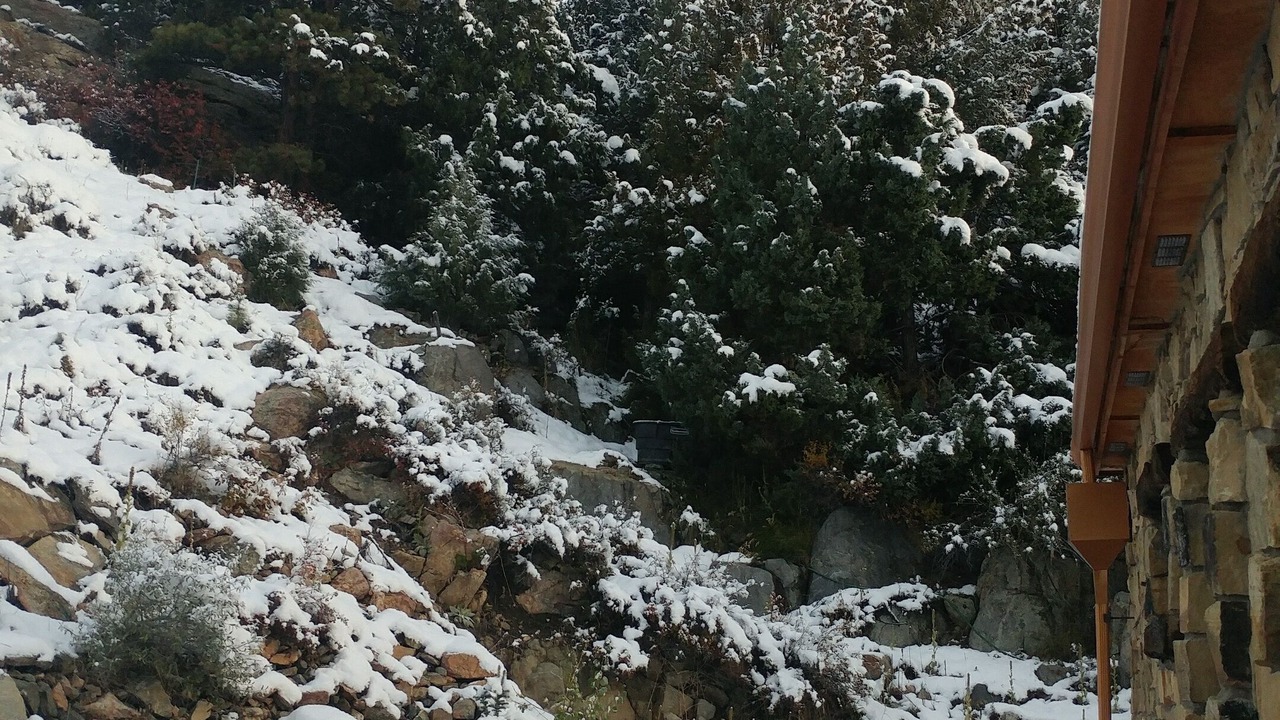 Photo of Outdoor in Rustic