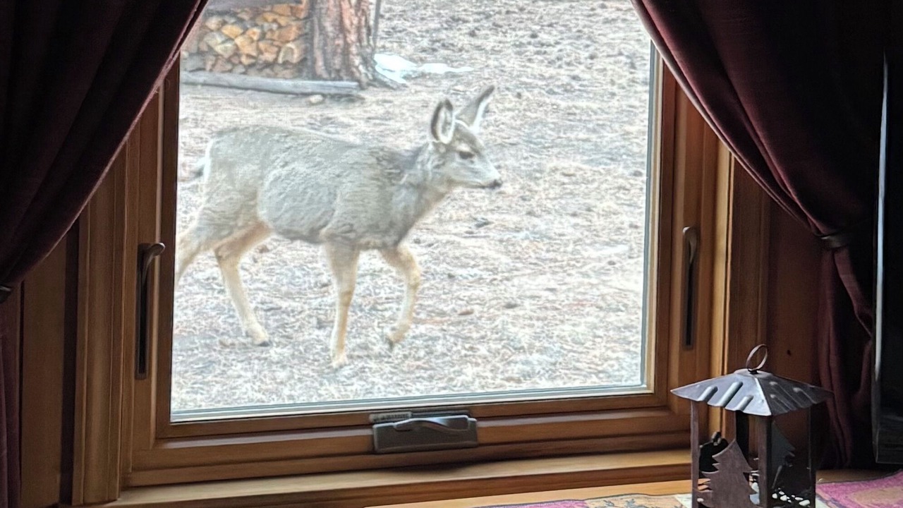 Photo of Others in Estes Park