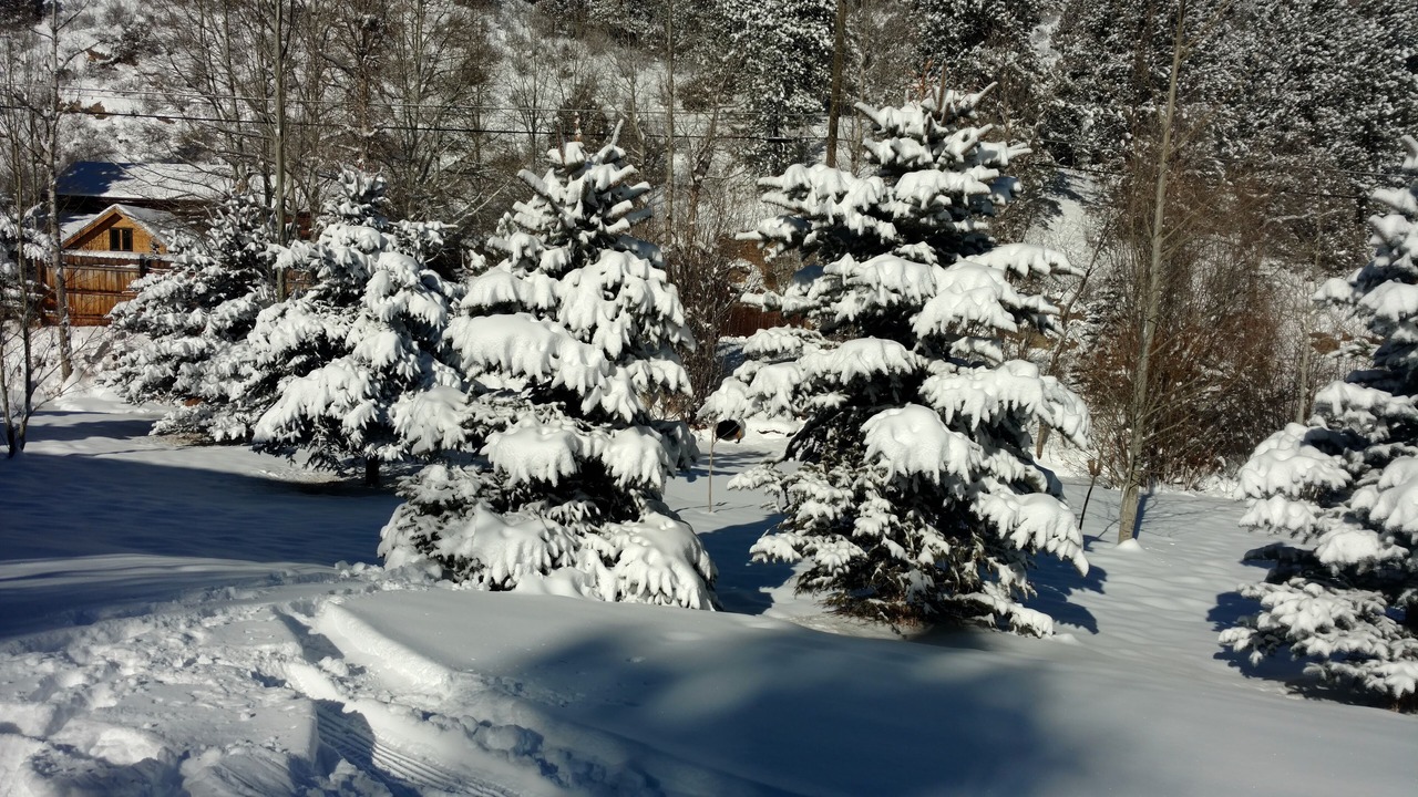 Photo of Outdoor in Idaho Springs